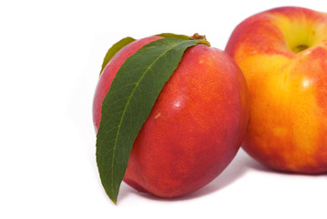 nectarine