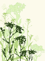 Floral background with flowers and butterflies