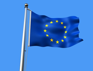 european union flag