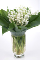Maiglöckchen in einer Vase