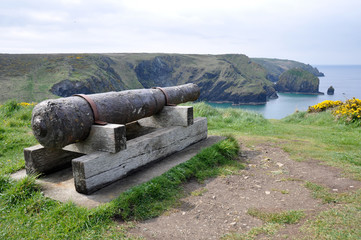 Cannon at the Cove