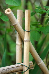 Bout de barri&egrave;re en bambou