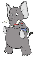 Elefant, Hygiene, Zahnpflege, Mundhygiene