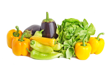 Set of different vegetables isolated on white .