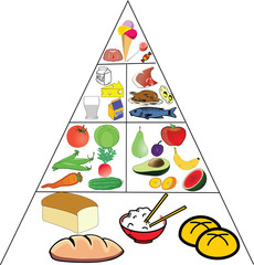 food pyramid