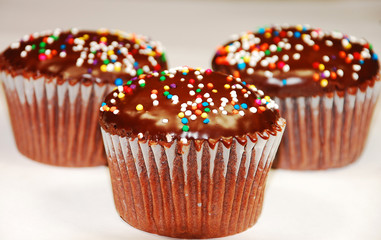 Chocolate cupcakes