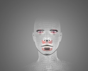 donna 3d wireframe