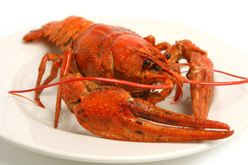 Boiled crawfish