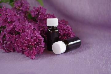 Kwiatowe kompozycje © bnorbert3