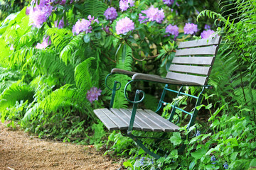 Garden chair between fern and rhododendron