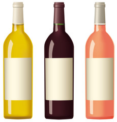 bouteilles de vins