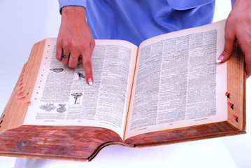 Fototapeta premium Dictionary