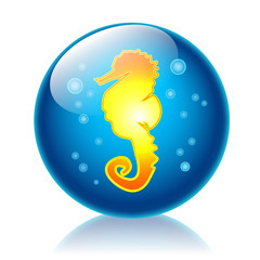 Seahorse glossy icon