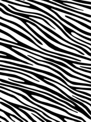 Zebra background