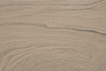 Curves in the Sand