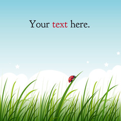 Carte avec coccinelle dans l'herbe
