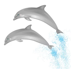 Papier Peint photo autocollant Dauphins Deux dauphins.