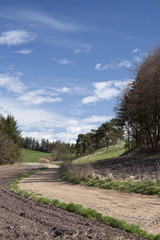 Fototapeta premium Dirt Road