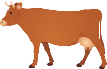 Cow vector