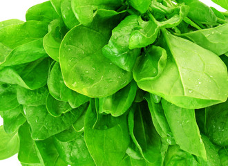 spinach leaves macro