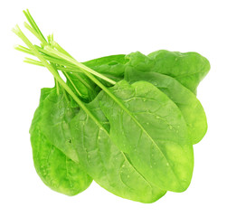 spinach leaves