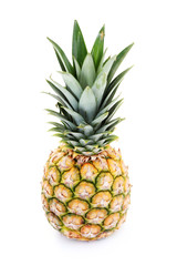 Fototapeta premium pineapple