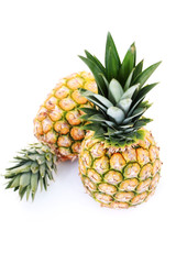 Fototapeta premium pineapple