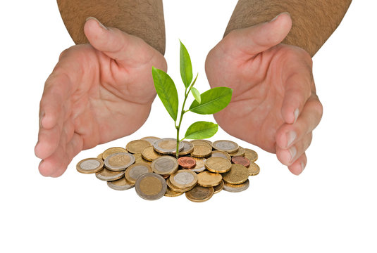 Tree growing from pile of coins