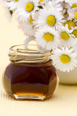 Obraz na płótnie Canvas honey and daisies