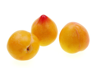 yellow plums isolated on white background