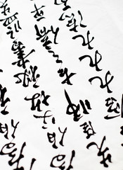 .Chinese characters