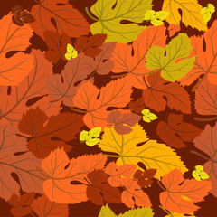 Naklejka na ściany i meble autumnal carpet of leaves