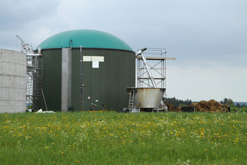 Biogas