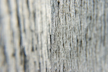wood background