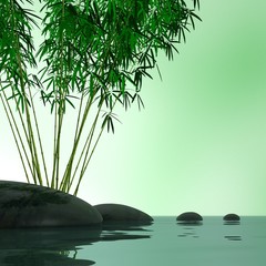 Bamboo plant and stones over a lake