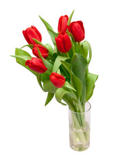 red tulips