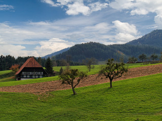 Obraz premium Schwarzwaldhaus im Herbst