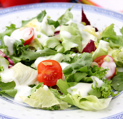 frischer salat