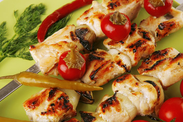 roast shish kebab with vegetables