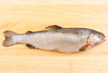 Raw fish on wooden background