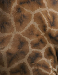 peau girafe