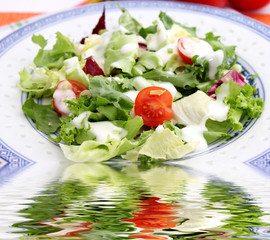 frischer salat