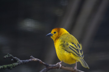 Mai2010