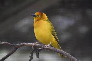 Mai2010