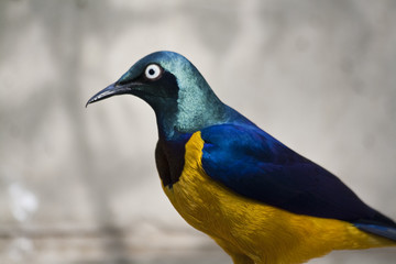 Mai2010