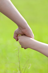 Hands of two brothers walking on meadow