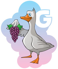 Children alphabet: letter G, goose and grapes, vector
