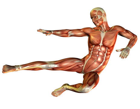 Muskelstudie Mann beim Sprung