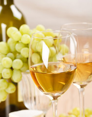 Still-life with bunch of grapes and white wine
