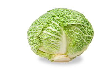 Fototapeta premium Savoy Cabbage